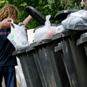 The council said that roll out has been a success across the Forest