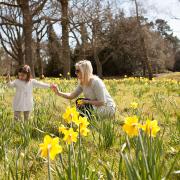A  mum and daughter enjoying Exbury Gardens