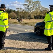Hampshire police have revealed that two children have been kicked by ponies this summer in the New Forest.