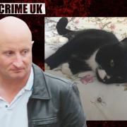 The Victims of 'The Brighton Cat Killer'