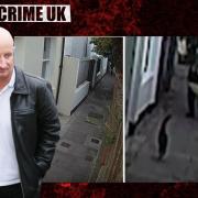 How 'The Brighton Cat Killer' was Caught