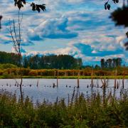 Part of the waterside footpath at Fishlake Meadows Wildfire Trust Nature Reserve will close this week.