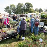 Broadlands Garden Show in 2023