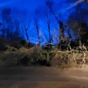 A tree blocked West End Road in Southampton
