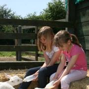 Win a family ticket to Longdown Activity Farm.