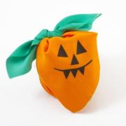 Win a Spooky Lush Pupmpkin Wrap and Bath Ballistic of your choice.