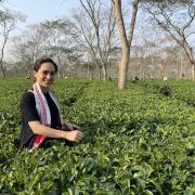 Tea company based in Chandler’s Ford wins prestigious King’s Award