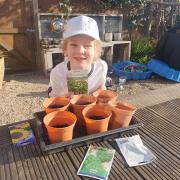 Six-year-old Olivia Arbery who sowed seeds for Communicare’s plant sale