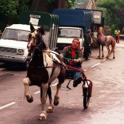 Wickham Horse Fair in the 1990s