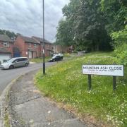 Mountain Ash Close leading to Heather Court