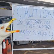 The sign at Eastleigh Sainsbury's, with an added image of a seagull