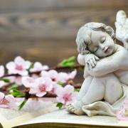 Southampton death notices and funeral announcements from the Daily Echo