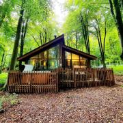 Forest Holidays has a site at Blackwood Forest in Hampshire which has been well-received by Which? users