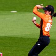 Charli Knott took two wickets against South East Stars