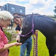 Resident Alison had a surprising visit from pony Whispa