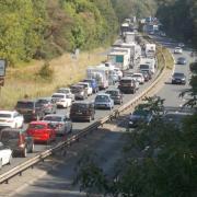 Traffic on the A31 (Stock)