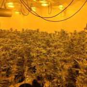 Cannabis factory found in an address at Malwood Avenue, Southampton