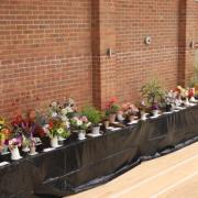 Braishfield Garden Club summer show