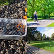 Southampton has a few spots where people can go outside and have a barbecue