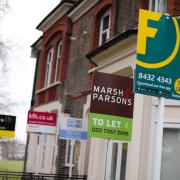 A row of estate agent letting signs