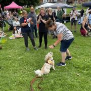 Hundreds turned up to Riverside Park to experience Trifest in Bitterne