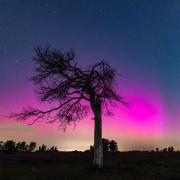 Perseid meteor shower and Aurora Borealis as seen in the New Forest on Sunday night and Monday morning