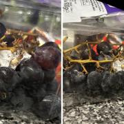 A Southampton woman has vowed to never shop at Lidl again after finding a spider in her grapes