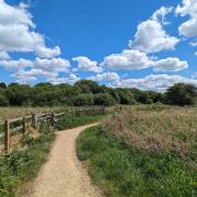 Test  Valley residents have worst access to green space than most in the South East