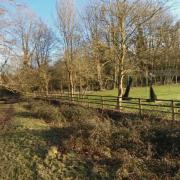 An investigation has been launched after a naked man was seen between St. Cross Symondians Cricket Club the River Itchen