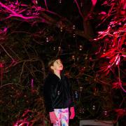 The light up trail returns to Sir Harold Hillier Gardens this winter