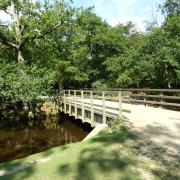 The Bolderford Bridge. Picture: Fiona Barltrop