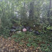 These bags were dumped in Ashley Down Lane, Boarhunt