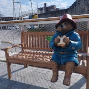 Paddington Bear, Southampton