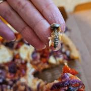 Mike and Steph Lawson from Gosport were disgusted to find a metal screw in their pizza from Pizza Hut