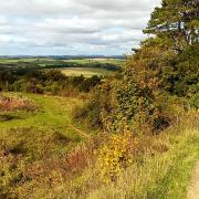 On the walk over Stockbridge Down