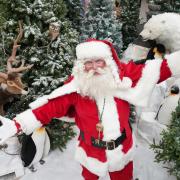 Meet Santa at Dobbies