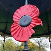 One of the giant poppies has been damaged