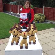 Mary Thoresen from Titchfield started her Santa's sleigh display in April.