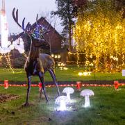 The garden at Woodpeckers in Brockenhurst hosts the home’s festival of lights.     