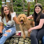 Romsey woman Lizzie Horner, far right, with her two daughters and Teddy