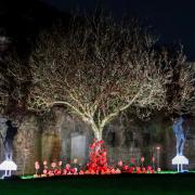 The Remembrance Poppy Garden at HMS Sutan