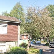 Heather Court in Mountain Ash Close, Harefield