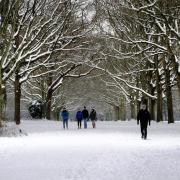 A snowy day in Southampton Common - could we see a white Christmas in 2024?