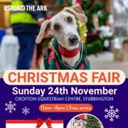 RSPCA branch to host annual Christmas Fair this month