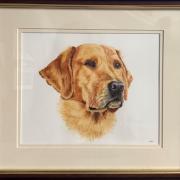 The Best in Show award was given to Mike Smithson for his painting 'Bruce', a Golden Labrador