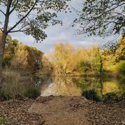 Miller's Pond. Picture: Matt Davey