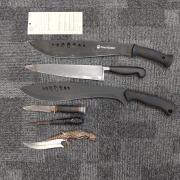 Police seize knives from property in Woolston