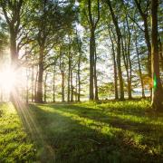 The South Downs National Park