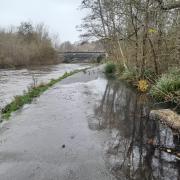 Flooding at Riverside Park