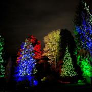 Light Up Hillier Gardens